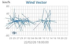 Wind Vector